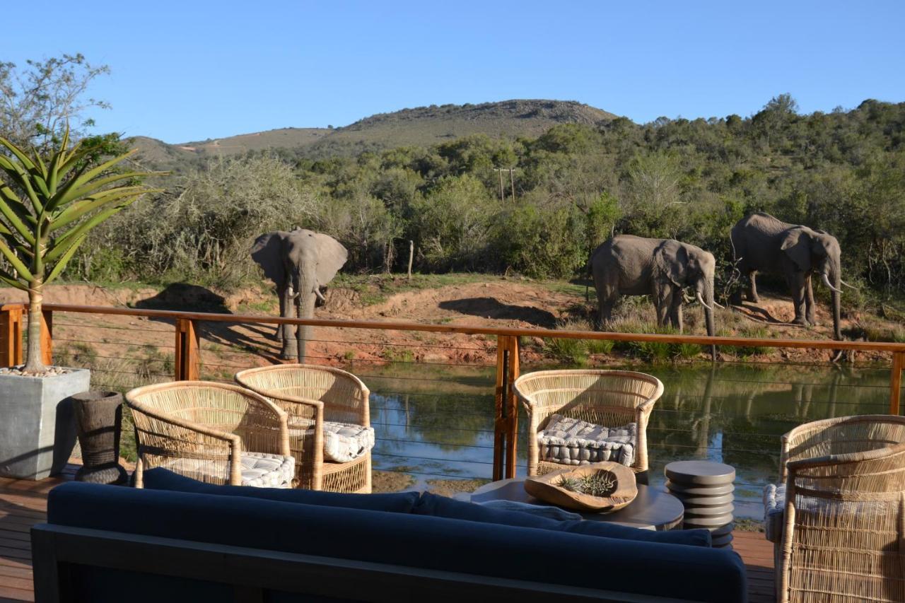 Barefoot Addo Elephant Lodge 외부 사진