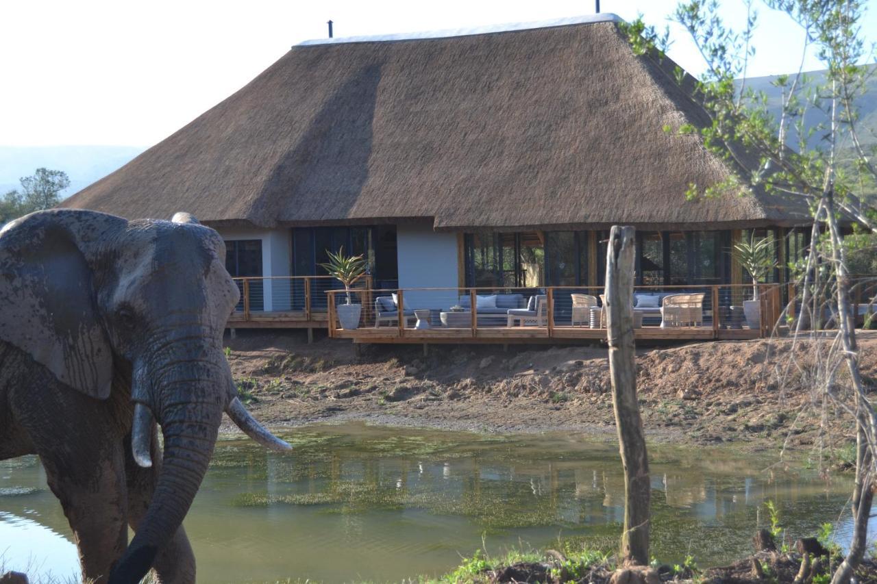 Barefoot Addo Elephant Lodge 외부 사진